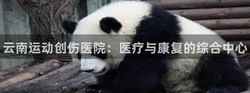 vsport体育在线官网：云南运动创伤医院：医疗与康复的综合中心