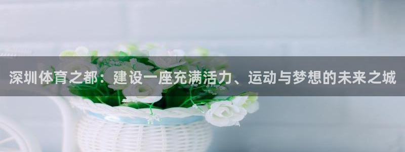 vsport体育：深圳体育之都：建设一座充满活力、运动与梦想的未来之城