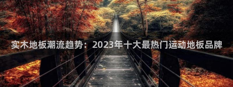 vsport体育：实木地板潮流趋势：2023年十大最热门运动地板品牌