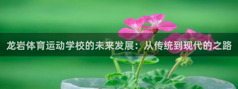 vsport体育：龙岩体育运动学校的未来发展：从传统到现代的之路
